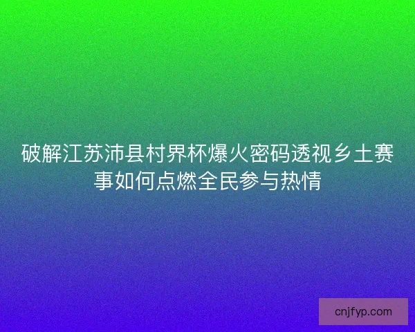 破解江苏沛县村界杯爆火密码透视乡土赛事如何点燃全民参与热情