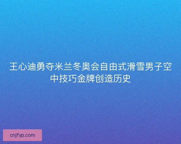 王心迪勇夺米兰冬奥会自由式滑雪男子空中技巧金牌创造历史 王心迪勇夺米兰冬奥会自由式滑雪男子空中技巧金牌创造历史